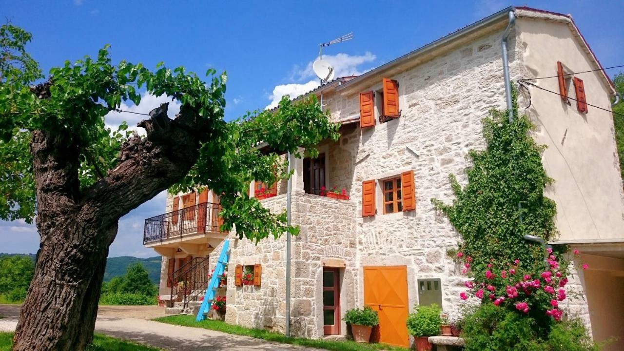 Villa Angela e Giovanni Vižinada Esterno foto
