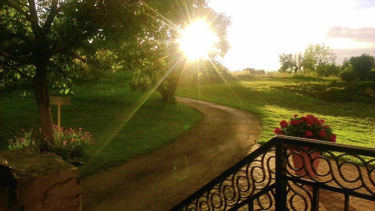 Villa Angela e Giovanni Vižinada Esterno foto